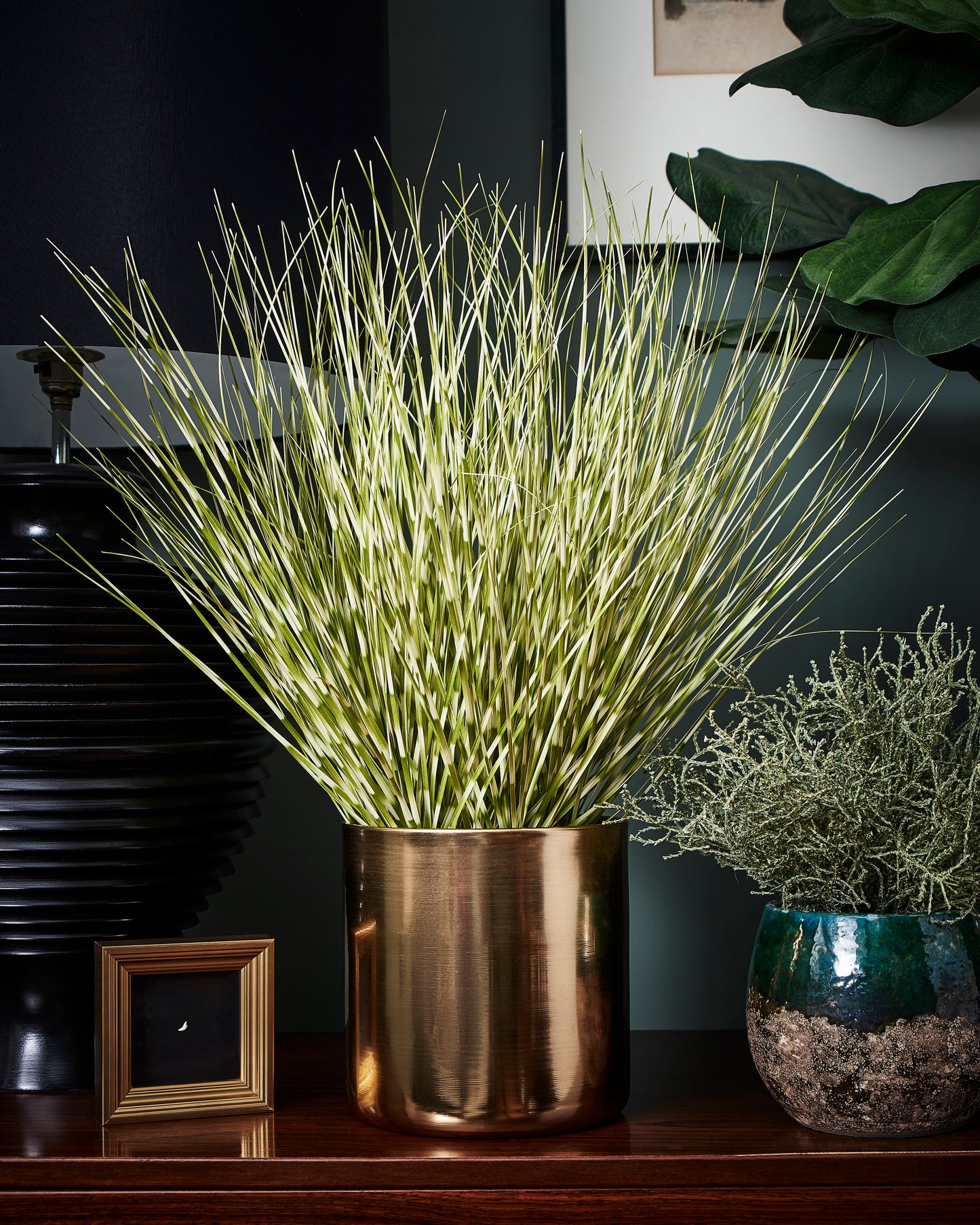 Zebra Grass Plant