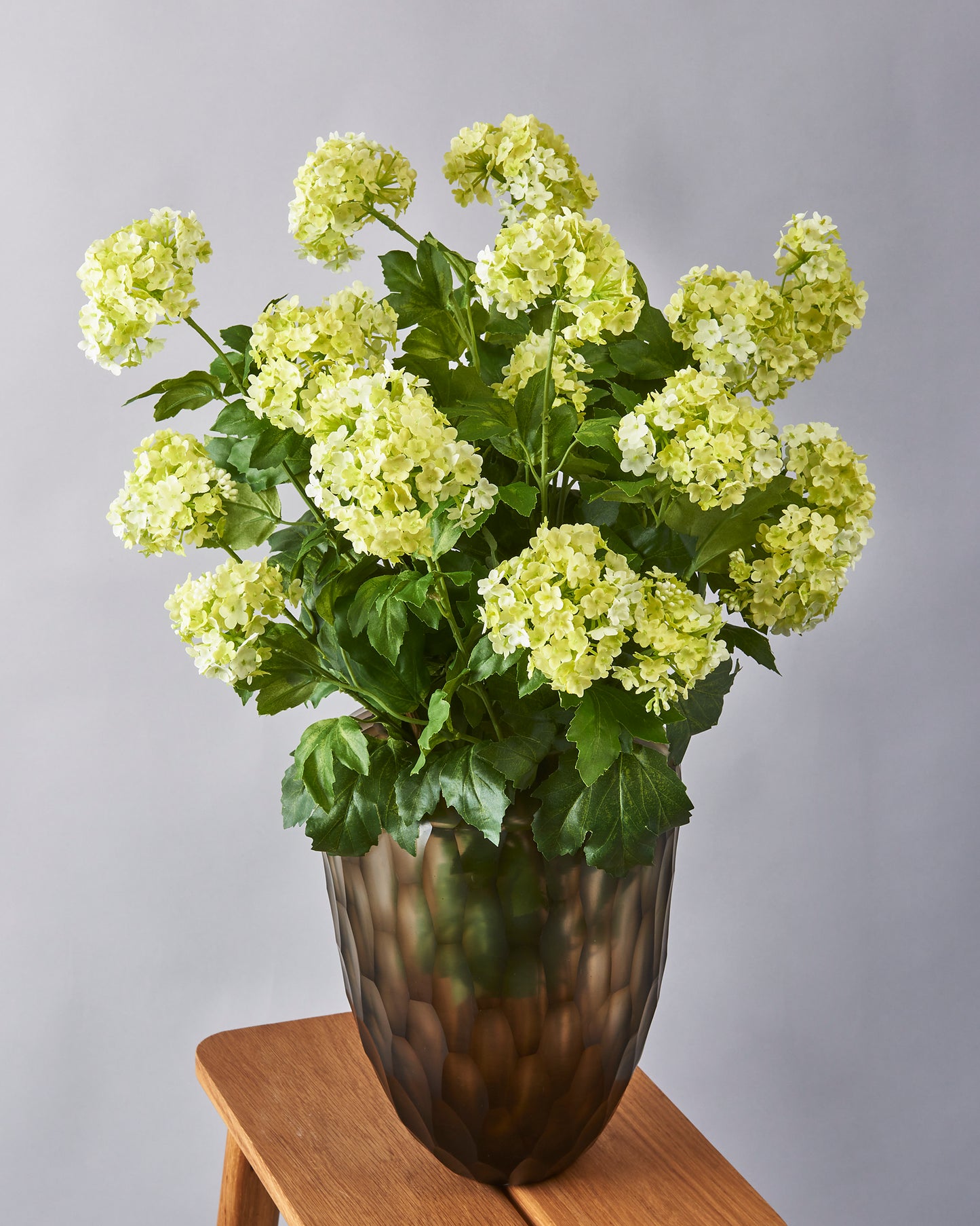 Viburnum - Cream & Green