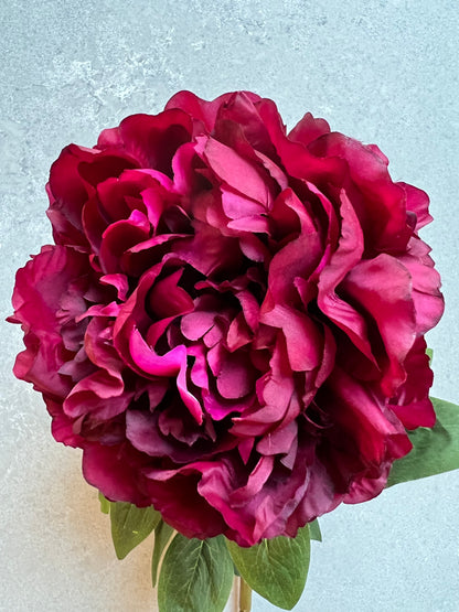 Peony - Cerise