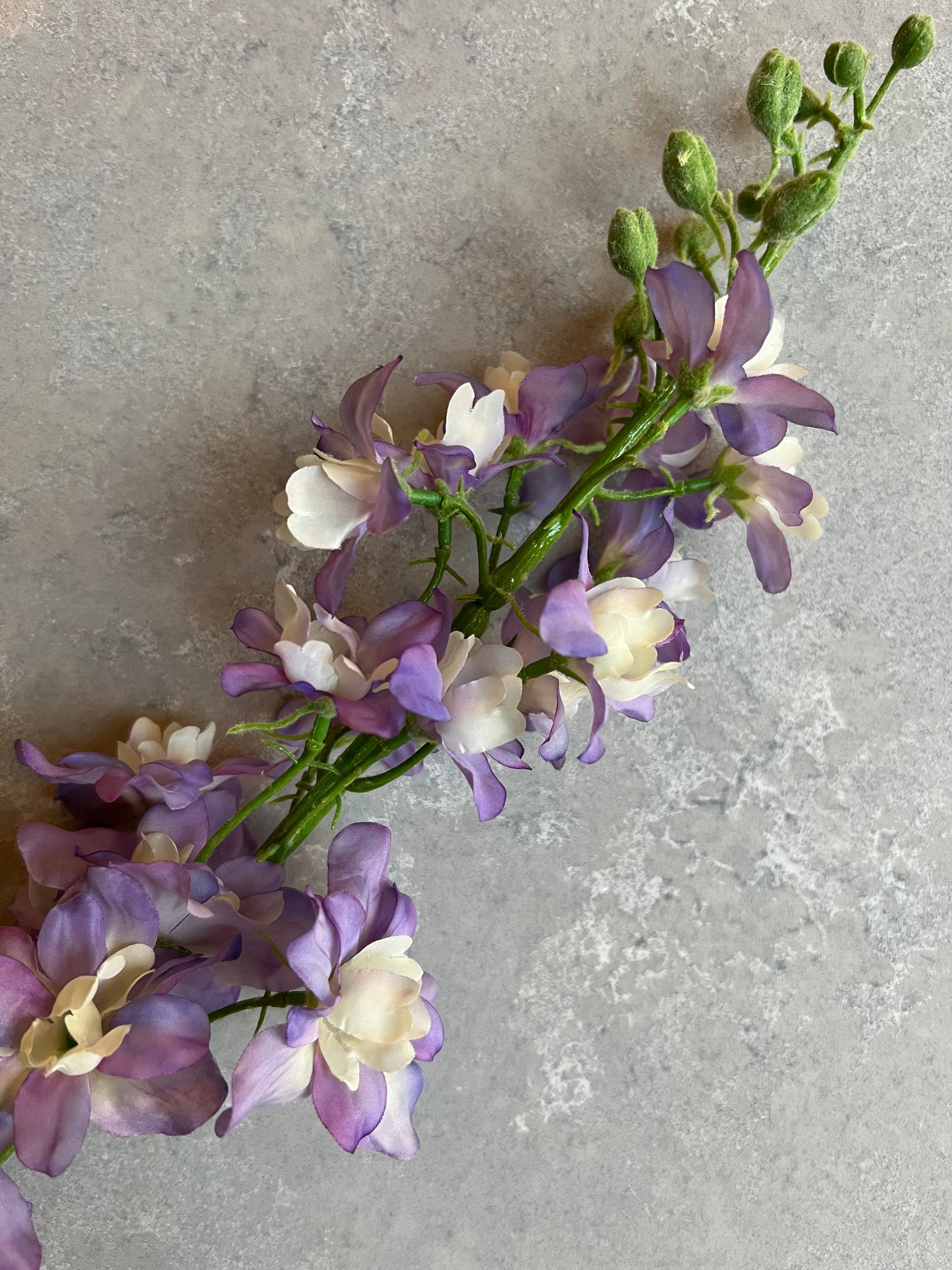 Delphinium - Lilac