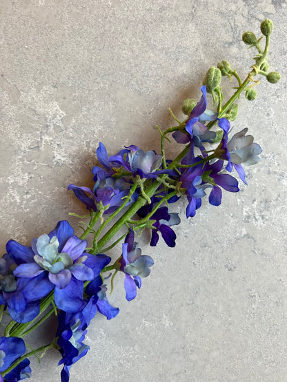 Delphinium - Cobalt Blue